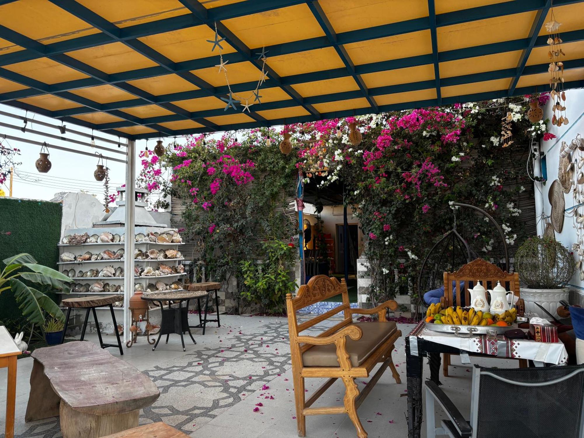 Couette-café Salem Fish *